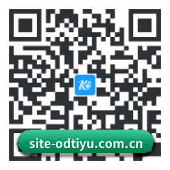 系统版 Android 二维码