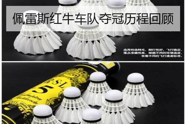 佩雷斯红牛车队夺冠历程回顾
